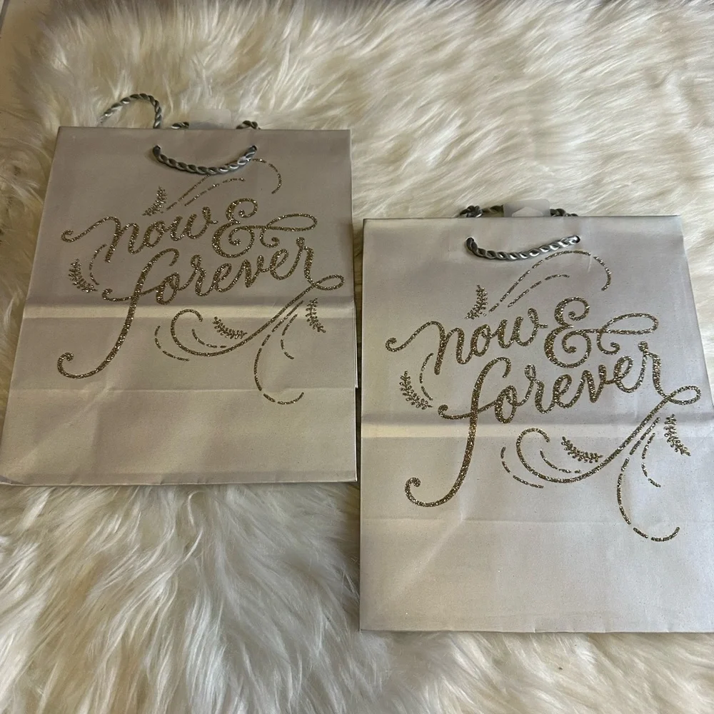 🩵5/$8 gift bags